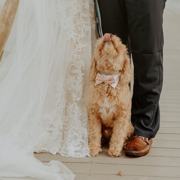 Essence Of Australia Wedding Dress D2548 Size 8 - Picture 3 of 5